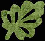 Leaf #11 Coaster Scroll Saw Pattern