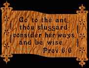 Proverbs 6:6 Bible Plaque Scroll Saw Pattern