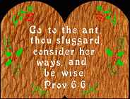 Proverbs 6:6 Bible Plaque Scroll Saw Pattern