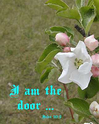 I am the door - John 10:9 - Poster