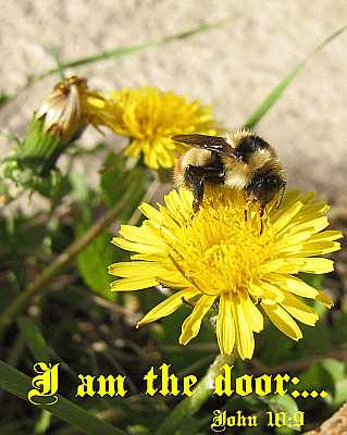 I am the door - John 10:9 - Poster