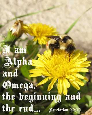 I am Alpha and Omega Rev 22:13 Poster