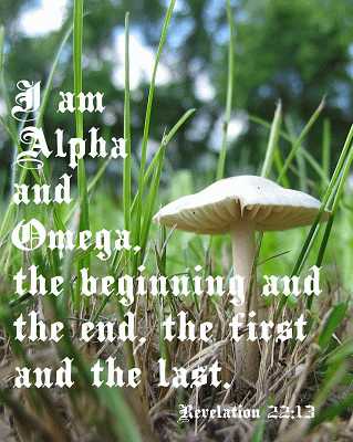 I am Alpha and Omega Rev 22:13 Poster