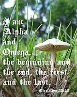 I am Alpha and Omega Rev 22:13 Poster