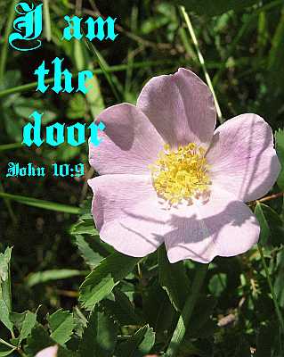 I am the door - John 10:9 - Poster