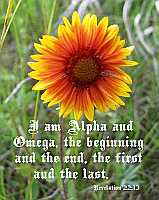 I am Alpha and Omega Rev 22:13 Poster