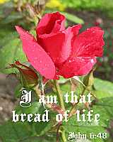 I am that bread of life - John 6:48 - Poster