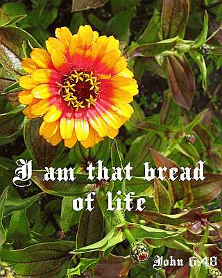 I am that bread of life - John 6:48 - Poster