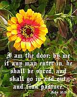 I am the door - John 10:9 - Poster