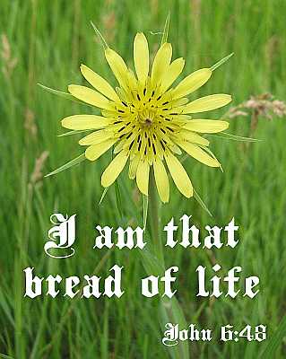 I am that bread of life - John 6:48 - Poster