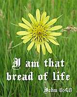 I am that bread of life - John 6:48 - Poster