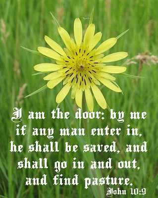 I am the door - John 10:9 - Poster