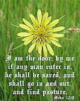 I am the door - John 10:9 - Poster