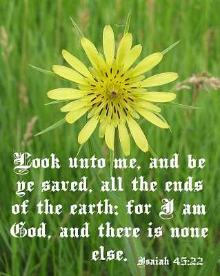I am God Isaiah 45:22  Poster