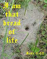 I am that bread of life - John 6:48 - Poster