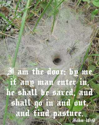 I am the door - John 10:9 - Poster