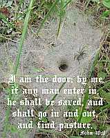 I am the door - John 10:9 - Poster