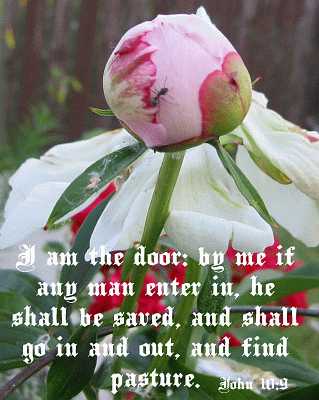 I am the door - John 10:9 - Poster