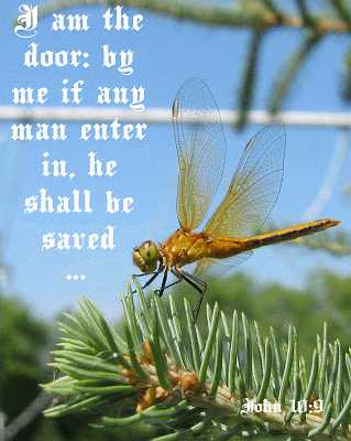 I am the door - John 10:9 - Poster