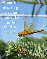 I am the door - John 10:9 - Poster