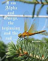 I am Alpha and Omega Rev 22:13 Poster