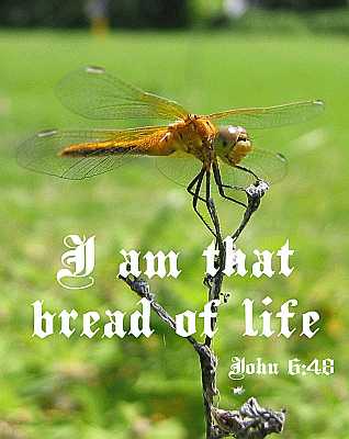 I am that bread of life - John 6:48 - Poster