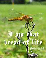 I am that bread of life - John 6:48 - Poster