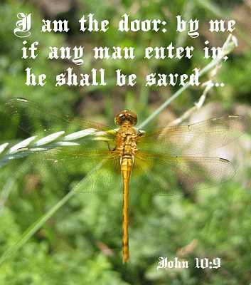 I am the door - John 10:9 - Poster