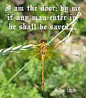 I am the door - John 10:9 - Poster