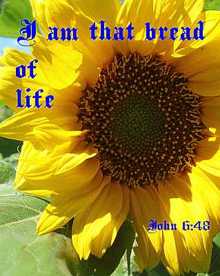 I am that bread of life - John 6:48 - Poster