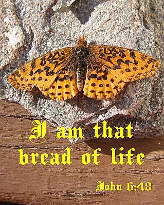 I am that bread of life - John 6:48 - Poster