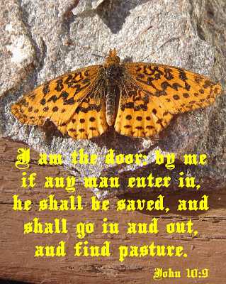 I am the door - John 10:9 - Poster