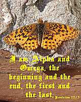 I am Alpha and Omega Rev 22:13 Poster