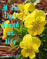 I am that bread of life - John 6:48 - Poster