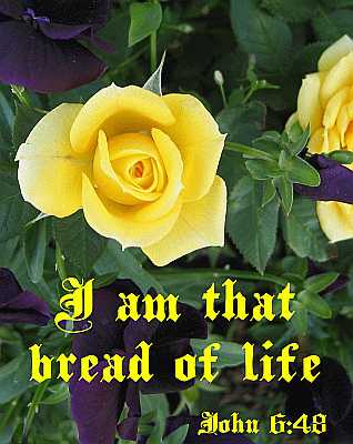 I am that bread of life - John 6:48 - Poster