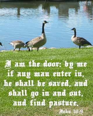 I am the door - John 10:9 - Poster