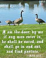 I am the door - John 10:9 - Poster