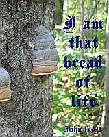 I am that bread of life - John 6:48 - Poster