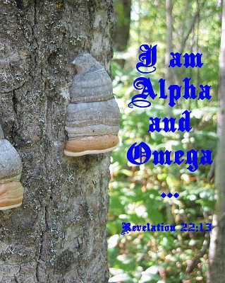 I am Alpha and Omega Rev 22:13 Poster