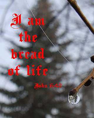 I am that bread of life - John 6:48 - Poster