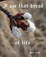 I am that bread of life - John 6:48 - Poster