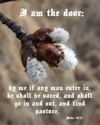 I am the door - John 10:9 - Poster