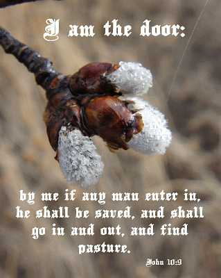 I am the door - John 10:9 - Poster