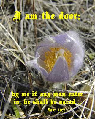 I am the door - John 10:9 - Poster