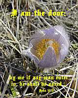 I am the door - John 10:9 - Poster