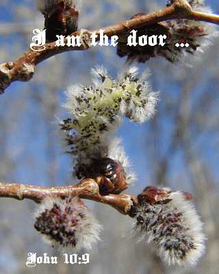 I am the door - John 10:9 - Poster