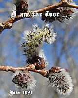 I am the door - John 10:9 - Poster