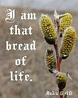 I am that bread of life - John 6:48 - Poster