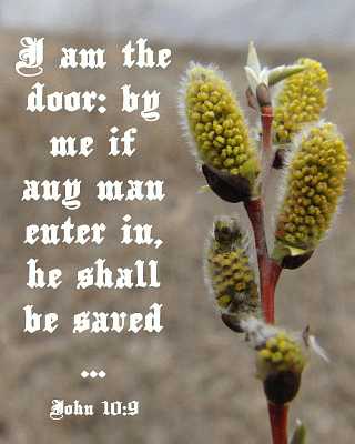 I am the door - John 10:9 - Poster