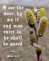 I am the door - John 10:9 - Poster